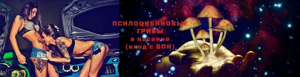 гидра Нязепетровск