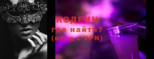 индика Щигры