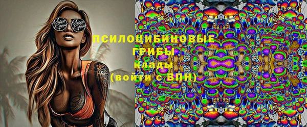 mdma Няндома