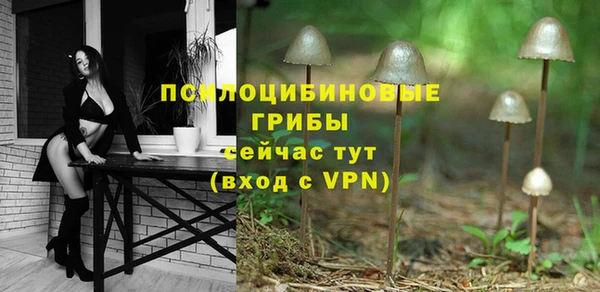 меф Нягань
