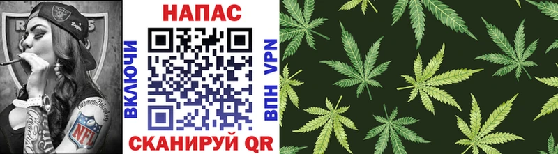 купить наркоту Пролетарск Бошки марихуана SATIVA & INDICA